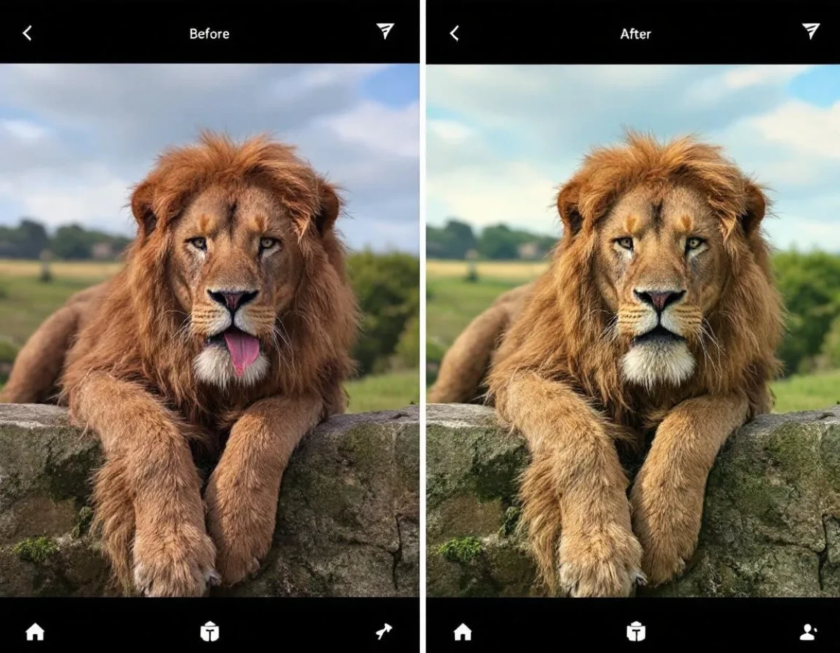 Techniques Avancées pour Agrandir votre Photo de Profil Instagram sans Perte de Qualité
